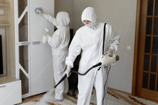 Professional Mold Removal in Edgewood, OH